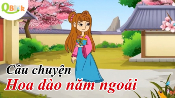 Qbook - Hoa Đào