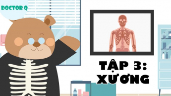 SteamQ - Tập 3 - Bộ Xương - Da