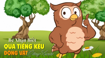 Bé Nhận Biết Qua Tiếng Kêu Động Vật Rừng Xanh