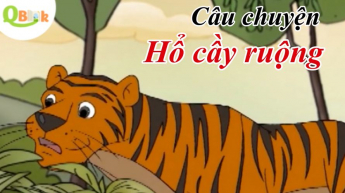 Qbook - Hổ Cầy Ruộng