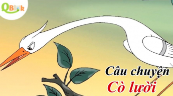 Qbook - Cò Lười